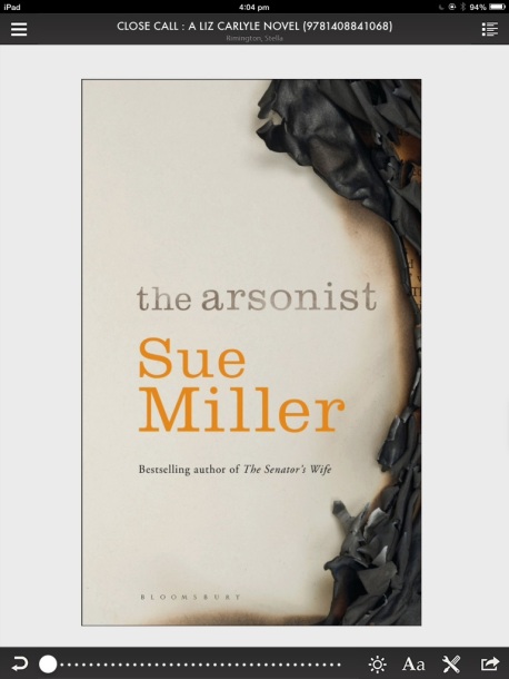 sue miller - the arsonist